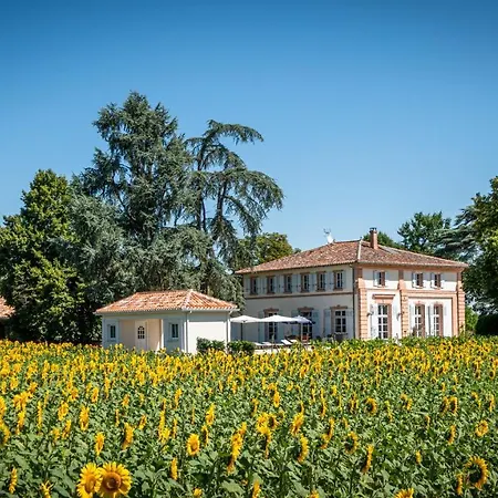 Anda- Piscine- Montauban - 度假居 Lacourt-Saint-Pierre