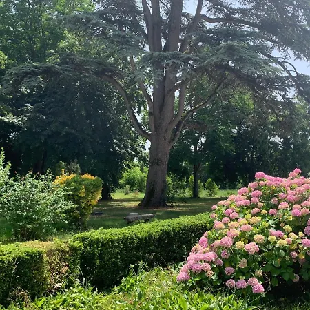 Anda- Piscine- Montauban - Lacourt-Saint-Pierre