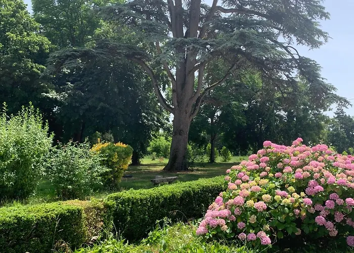 Anda- Piscine- Montauban - Lacourt-Saint-Pierre